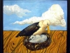 Albatross